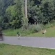 � ������� ������� ������� ����� ���������, ���������� �������� ��������