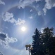 ��� ������� ��������� ������ �������� �������