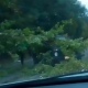 � ������ ������ ������� �� ����������