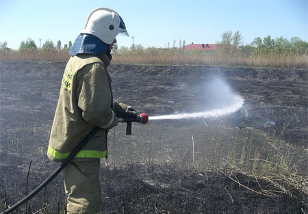 Пожарные выезжали на тушение травы около 600 раз! Пожарные выезжали на тушение травы около 600 раз!