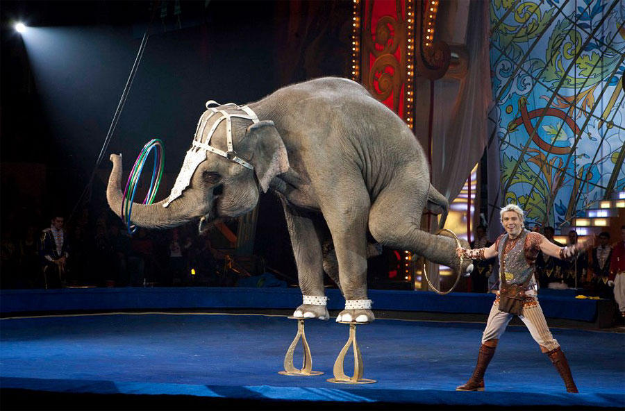 Цирк королев купить билеты. Цирк Никулина слоны.