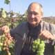 53 сорта винограда на участке пенсионера из Курской области