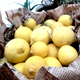 Курск – родина лимонов