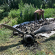 В Курской области поисковики подняли еще один сбитый американский самолет