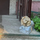 Вход в подъезд хрущевки охраняют львы