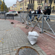 Металлические заборчики вдоль дорог в Курске предлагают заменить на кустарники