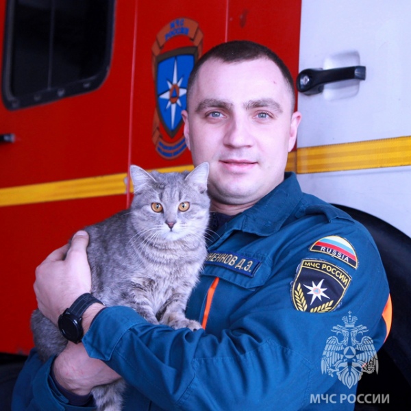 Снимок кота Лафета с одним из спасателей разошелся по соцсетям, куряне восхитились поступком сотрудников МЧС