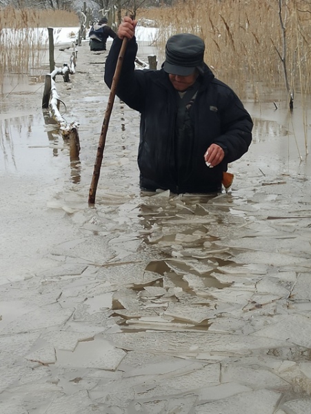 Жители деревни Жизлово вынуждены были добираться за хлебом и лекарствами по пояс в ледяной воде