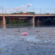 Река Сейм в Курске оказалась загрязнена сточными водами