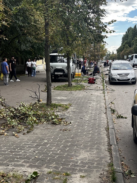 Осколками перерубило деревья на улице Осколками перерубило деревья на улице