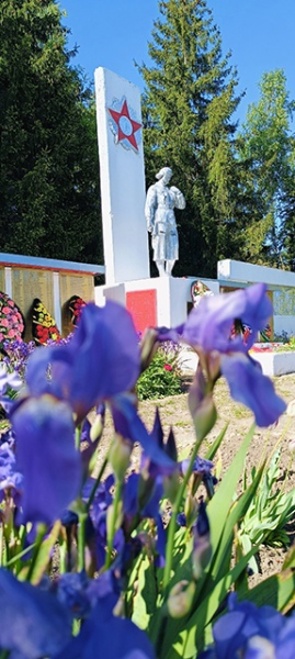 Село Долгие Буды Беловского района Село Долгие Буды Беловского района