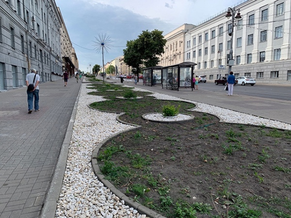 Председатель КГС Владимир Токарев сказал, что в 2025 году городу придется сократить расходы на клумбы Председатель КГС Владимир Токарев сказал, что в 2025 году городу придется сократить расходы на клумбы