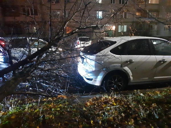 В центре Курска деревья падали на автомобили В центре Курска деревья падали на автомобили