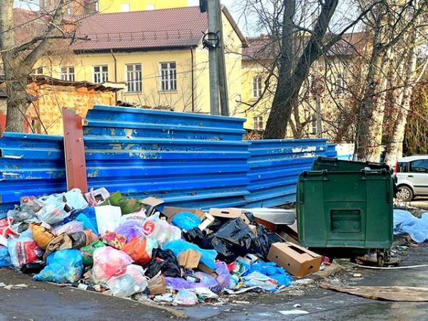 На мусорной проблеме акцентировал внимание глава региональной контрольно-счетной палаты Андрей Брехов На мусорной проблеме акцентировал внимание глава региональной контрольно-счетной палаты Андрей Брехов