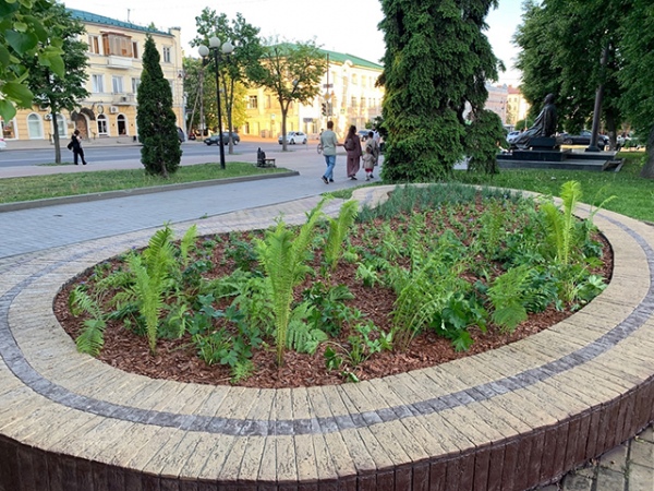 На клумбе-фонтане на улице Ленина в этом году растет папоротник На клумбе-фонтане на улице Ленина в этом году растет папоротник
