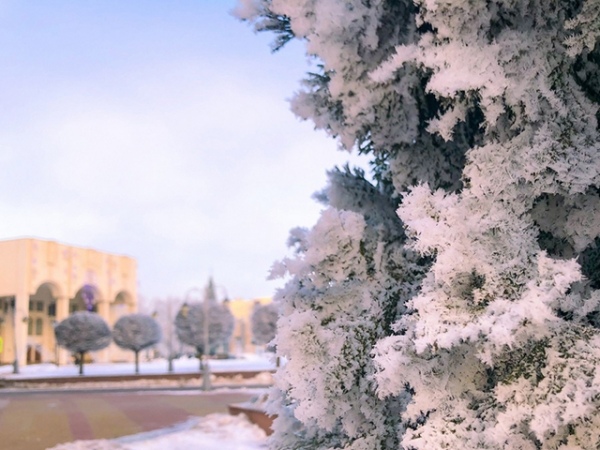 �� ��������� ���� ������� ������� ������� ��������� ������