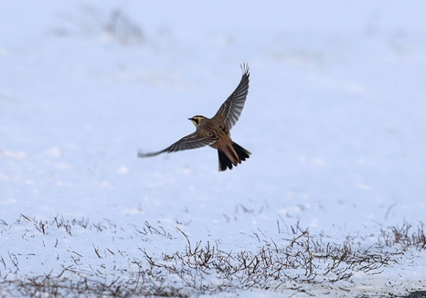 � ����� ������� ������ ��������� ������ �������� ���������, �� ������ �������� �� ���������� �����-������ ������� ��������