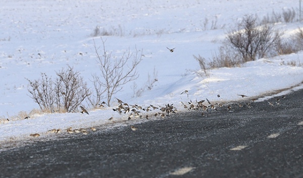 � ���� ���� �������� �� ��������� ������� ������ ��������� ���������, ��� ���� � ����� ��������� ����� ������� ���� ����