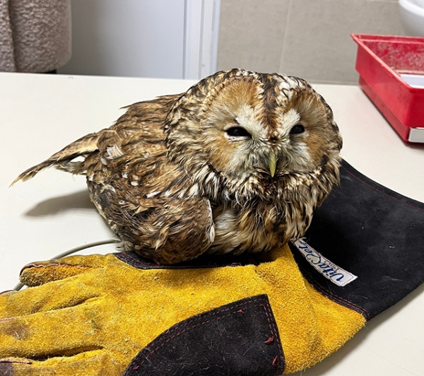 ����� ������� �������� �� ��������������� ���� � ����� �� ������������ �������