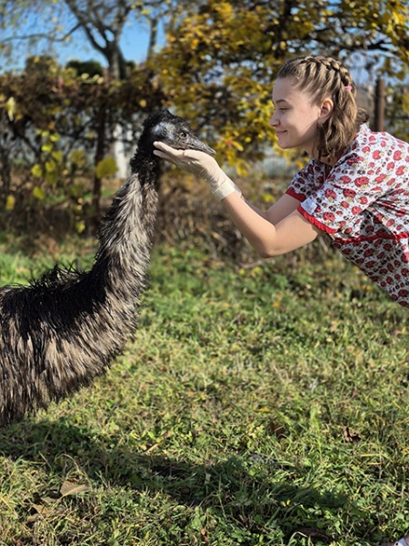 ��� �� ������ ����� ������ � ���������� ��� ������