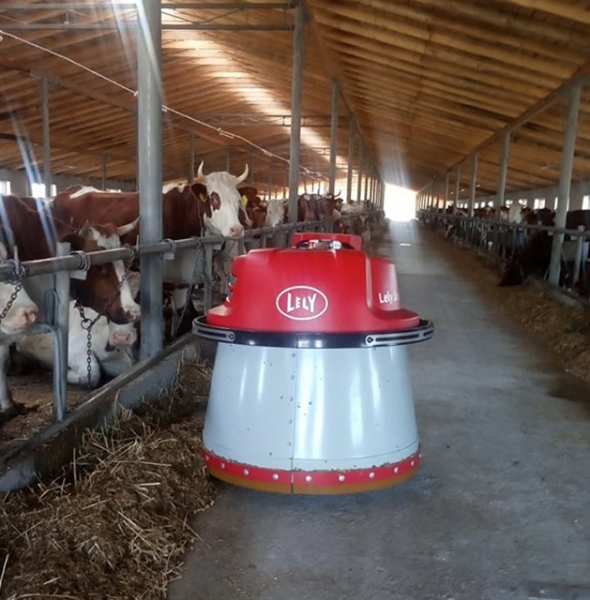 ���� ���� �������� �� �������� �����, ������ � �� ����� �� ������� ���