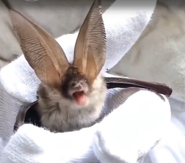 ������������ ���� ������� ���� ��� ��-�� ����� ������� ����