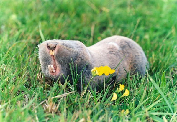 ��������� ������� �� ����������� ����� ����� ������ ��� � ���� � ������, ����� �������� ������������� ��������� �� ������ �� �������� �����