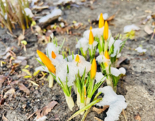 ������������ ����� ������ � ������ � 20-� ������ �����