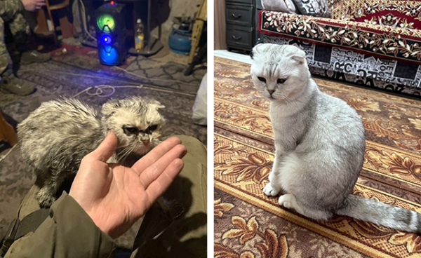 ����� ������ ����� � ���� ������ � ��������. ������� ������ �����