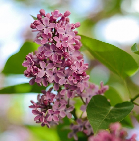 &laquo;��� ������ ����� ������, ��� �������� ����� �����&raquo;, � ��������� �������� ��������� ��������� ��������� �������