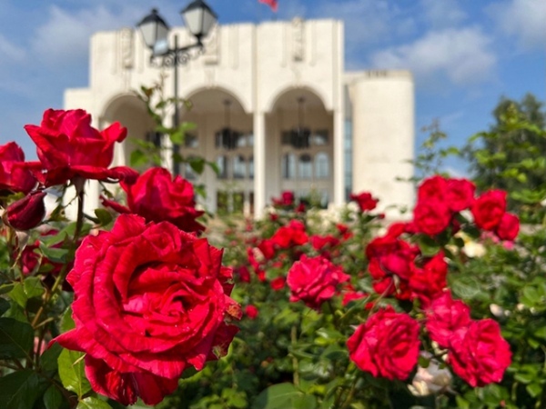 � �������� ������ ��������� ������ ���� �� 31%, ��� ���� ����� �� ����� �������� 30 ��������� ������