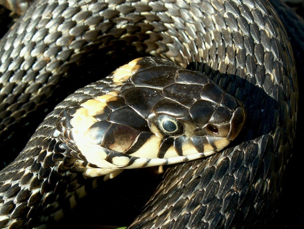 �������� ��� �� ������ ����� �� ������ ��������� �� ������