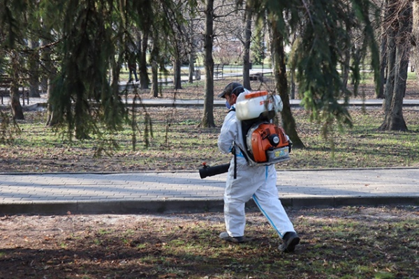 В Курске от клещей уже обработали Боевку и Первомайский парк