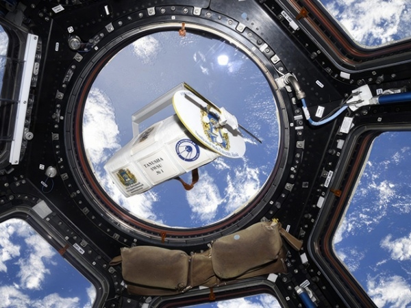 ���� � ������������ ��� �� �������, � �������� ���� ���������� �� �������� ����������� ��������� �� ���