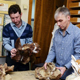 Ученые открыли новый вид титанозавров, обитавших в Западной Сибири
