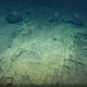 Ученые обнаружили «дорогу к Атлантиде» на дне Тихого океана