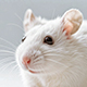 ���� � ������������� �������� � �����. ����� ������ ���������� �����