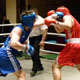 Курские боксеры «озолотились» на международном турнире