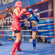 Курский «МегаГРИНН» принял чемпионаты по тайскому боксу