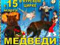 В Курском цирке покажут медведей-канатоходцев и дрессированных ежей