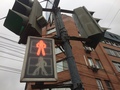 Из-за странной работы светофора в центре Курска могут пострадать пешеходы