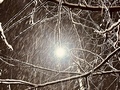 Курск засыпает снегом. Начало метели вечером 13 декабря