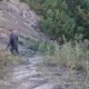 В Курске для школьников выкопали в овраге земляные ступеньки